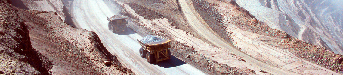 Adapting Mining Operations in Times of Instability 